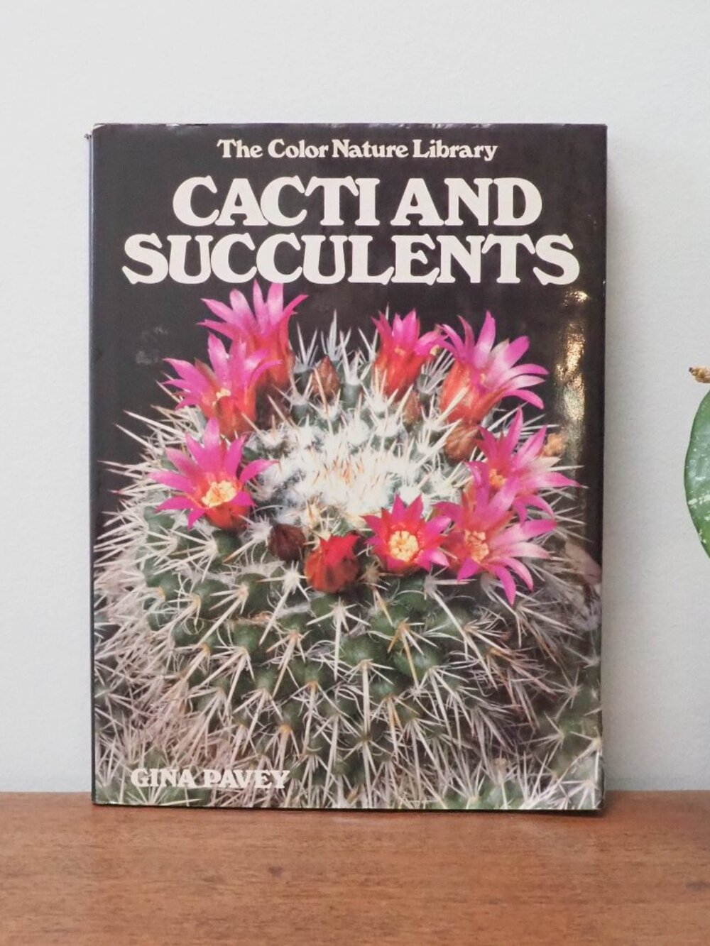 Cacti and Succulents - Gina Pavey - Color Nature Library - 70s Succulent Guide